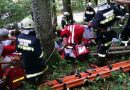 Oö: Feuerwehreinsatz nach Forstunfall in Gaflenz