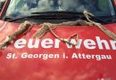 Oö: Feuerwehr unterstützt weitere Suche nach Boa Constrictor in St. Georgen im Attergau