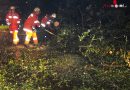 Oö: Nächtlicher Unwettereinsatz → Baum blockierte Bundesstraße in Bad Goisern