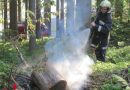 Stmk: Wieder Brandstiftung in Gressenberg