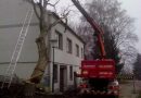 Nö: Gefällter Baum in Groß Stelzendorf statt auf Weg auf Haus gestürzt