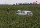 Oö: Pkw bei glimpflichen Unfall mit Lkw in Gunskirchen in Maisfeld gelandet