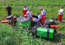 Nö: Abgestürzter Traktor im Weingarten → Schwerverletzter bei Guntramsdorf