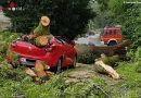 Deutschland: Baum bricht und stürzt in Haan auf Pkw