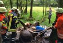 Deutschland: Pferd im Morast versunken – Feuerwehr rettet erschöptes Tier