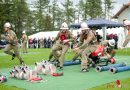 Nö: Abschnittsfeuerwehrleistungsbewerb des Abschnittes Kirchschlag 2015 in Hochneukirchen