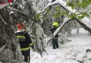 Nö: Viele Feuerwehreinsätze nach Wintereinbruch in Kaltenleutgeben vom 19. – 20.04.2017