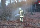 Deutschland: Kurioser Brandalarm: “Feuerameisen im Vogelsbergkreis?”