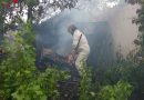 Deutschland: Brennende Bienenhütte – Feuerwehr brauchte Insektenschutzanzüge