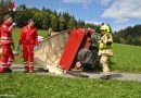 Tirol: Schwerer Unfall mit einer Pferdekutsche am Schwarzsee