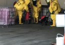 Ktn: Schadstoffaustritt mit nitrosen Gasen bei einem Abfallwirtschaftsunternehmen in Klagenfurt