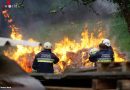 Oö: Feuerstelle vor Wald sorgt für Aufregung und Feuerwehreinsatz