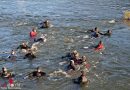 Nö: Gedenkschwimmen 2016 des Tauchdienstes in der Donau