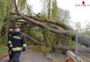 Nö: 129 Sturmeinsätze im Bezirk Krems