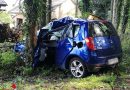 Nö: Verkehrsunfall mit Todesfolge in Krumbach → Pkw kracht gegen Baum