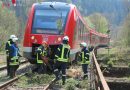 Deutschland: Regionalzug überfährt umgestürzten Baum – Keine Verletzten