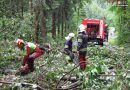 Stmk: Unwetter am 8. Juli bringt 46 Liter Regen mit Hagel über Thannhausen