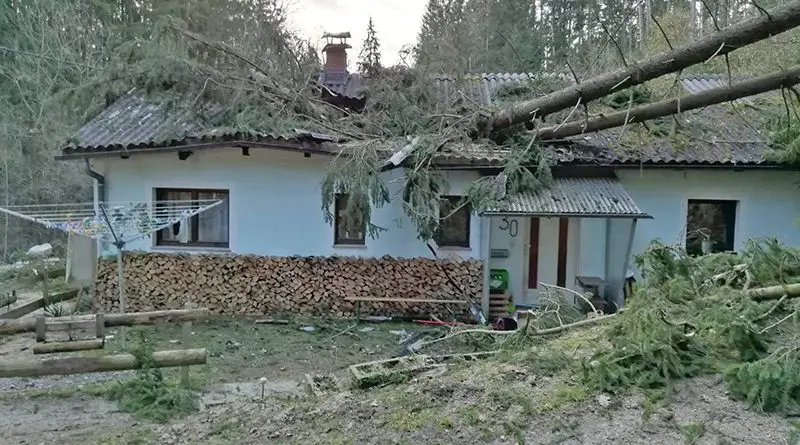Oö: Bäume zerstören Hausdach und Pkw in Lasberg - Fireworld.at