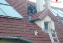 Nö: Feuerwehreinsatz bei Katze am Dach in Baden