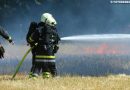 Oö: Feuer auf abgeerntetem Feld in Leonding