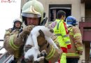 Oö: Person bei Wohnhausbrand am Neujahrstag in Linz von Balkon gerettet