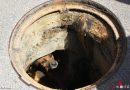Nö: Hundebellen aus Kanalschacht in Mödling