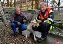 Bayern: Herrenloser Hund in München aus dem Auer Mühlbach geholt