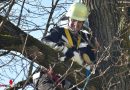 Bayern: Feuerwehr München holt Katze vom Baum