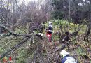 Stmk: 120 Feuerwehreinsatzkräfte im Bereich Mürzzuschlag im Sturmeinsatz