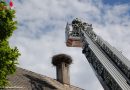 Stmk: Feuerwehr rettet Storchenküken, nachdem Storchenmännchen erschossen worden ist