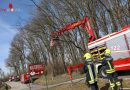 Oö: Sturmeinsatz in Oftering → Baum in Stromleitung