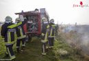 Nö: Durch Strom “gegrillte” Krähe löst Bahndammbrand in Pfaffstätten aus