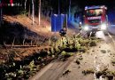 Bgld: Auto prallte gegen Windwurf-Baum in Pinkafeld