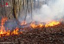 Deutschland: Rund 2000 Quadratmeter Waldboden gerieten in Steilhang in Plettenberg in Brand