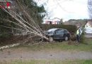 Stmk: Pkw von Fahrbahn abgekommen und gegen Baum geprallt