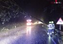 Oö: Umgestürzten Baum im strömenden Regen von der B1 entfernt