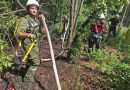 Nö: Notruf über sechs Ecken bei Waldbodenfeuer in Ramsau