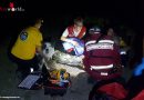 Nö: Vermisster in Bad Vöslau von Rettungshund lebend gefunden