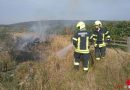 Nö: Brennender Holzstoß in Retzer Weingarten