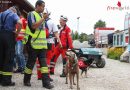 Oö:  Großangelegte Suchaktion beim Traunfall in Roitham – Frau tot gefunden