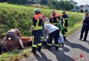 Deutschland: Pferd mit Drehleiter aus Graben geholt