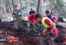 Oö: Feuerwehr und Bergrettung bekämpfen Waldbrand im hochalpinen Gelände in Scharnstein