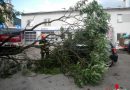 Oö: Morgendlicher Einsatz nach nächtlichem Unwetter – Baum fällt auf Pkw