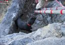 Oö: Rettung eines Labradors auf der Burgruine Scharnstein