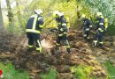 Oö: Brennendes Heu und Geäst → erste Löschhilfe verhindert größeren Flächenbrand