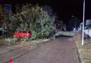 Nö: Schwechater Feuerwehr bei neun Sturmschäden im Einsatz
