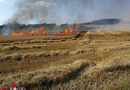 Oö: Schweißtreibender Feldbrand-Einsatz für die vier Sierninger Feuerwehren