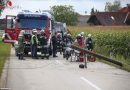 Oö: Autolenkerin fällt in Sipbachzell Strommasten, Frau schwer verletzt