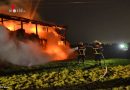 Deutschland: Lagerhalle auf landwirtschaftlichem Betrieb in Stade ausgebrannt – 44 Tiere können gerettet werden