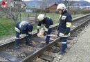 Nö: Bindearbeiten nach Defekt an Treibstofftank einer Diesellok in Statzendorf